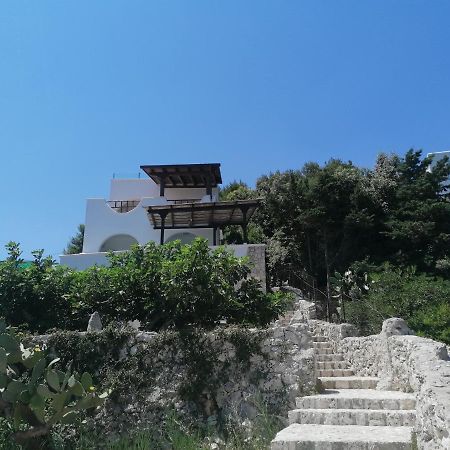 Villa Marigiosa Salento 마리티마 외부 사진